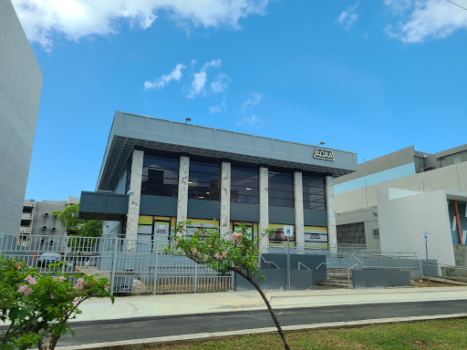 seguros Acaa Bayamón