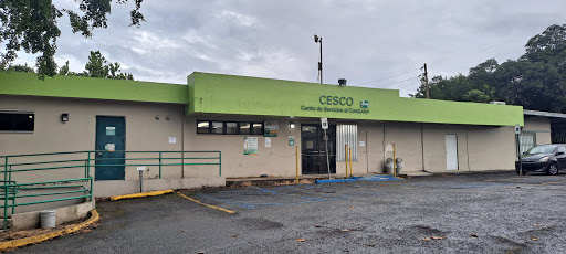 seguros Centro De Servicios Al Conductor (Cesco) Utuado
