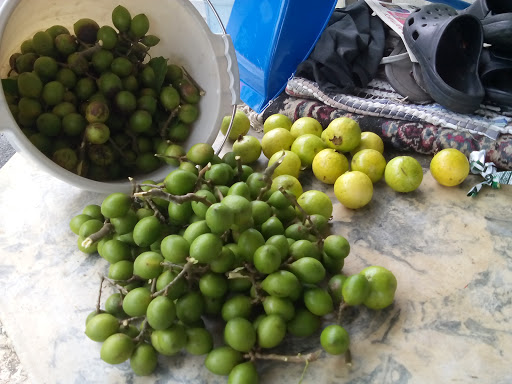 seguros José J. Cruz Alverio - Seguros / Pro-Seguro Pr