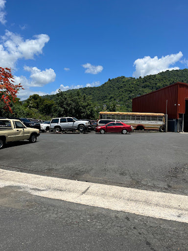 seguros Oficina Del Manejo De Emergencias - Naranjito