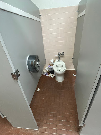 seguros Programa Medicaid