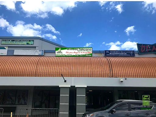 seguros Seguros Wilson Feliciano